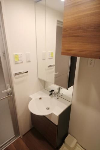 洗面設備　（別タイプ参考写真）ALTERNA大塚　豊島区北大塚２