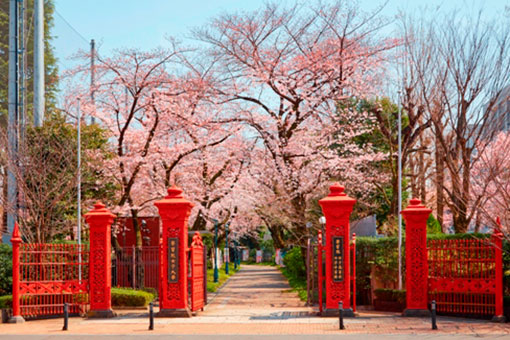 大学・短大　私立学習院女子大学（大学・短大）まで5689m