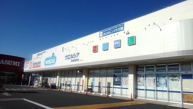 ドラックストア　ウエルシア茨城境町店（ドラッグストア）まで300m