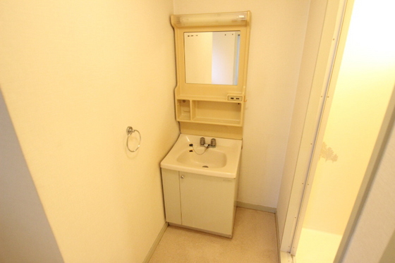 洗面設備　※別号室の写真です