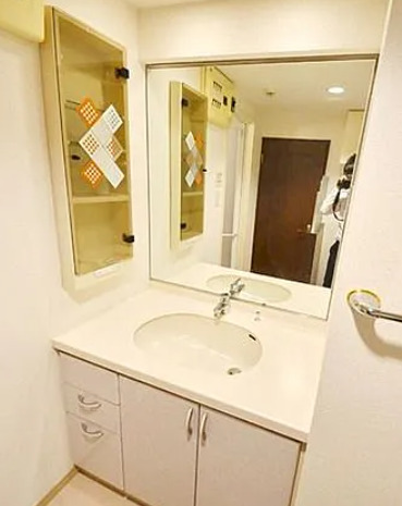 洗面設備　同タイプ部屋　参考写真です
