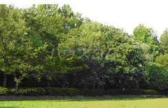 公園　南志津公園（公園）まで320m