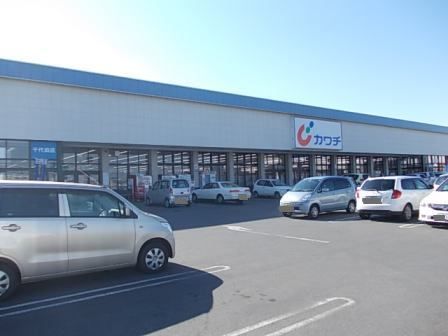 ドラックストア　カワチ薬品（ドラッグストア）まで600m