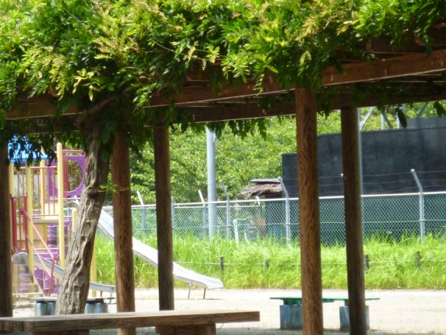 公園　梅林公園（公園）まで1600m