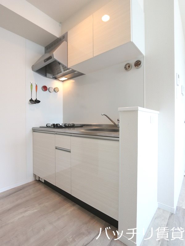 キッチン　同型タイプの為、現況優先