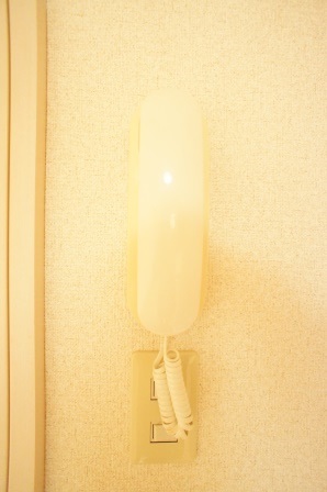 セキュリティ　インターホン付きで、セキュリティー性能充実です