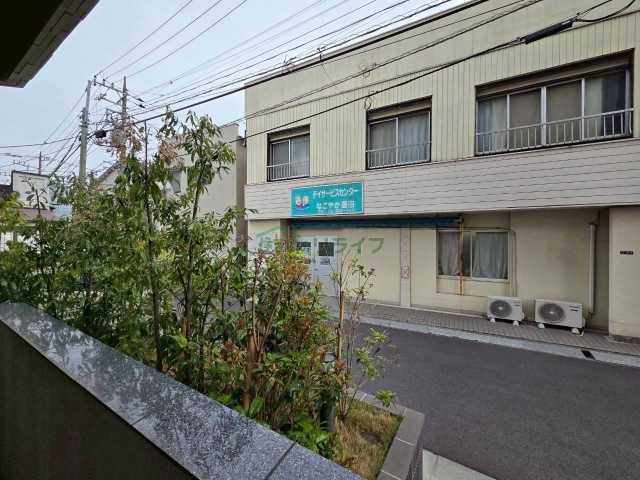 眺望