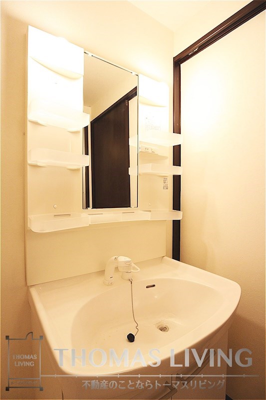 洗面設備　シャワー付きの独立洗面台です。