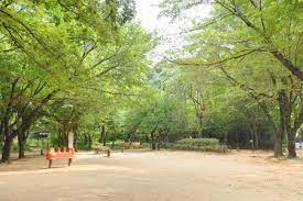 公園　目黒区立駒場公園（公園）まで134m