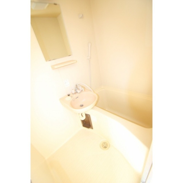 バス・シャワールーム　バス、洗面台