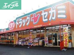 ドラックストア　セガミ岡大病院前店（ドラッグストア）まで343m