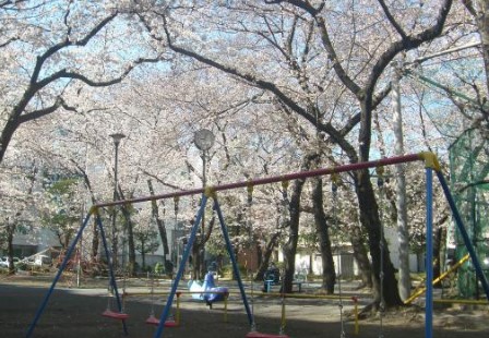 公園　清花公園（公園）まで614m