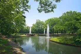 公園　東京都立代々木公園（公園）まで1084m