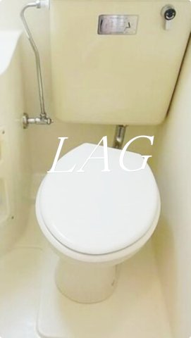 トイレ　トイレです。