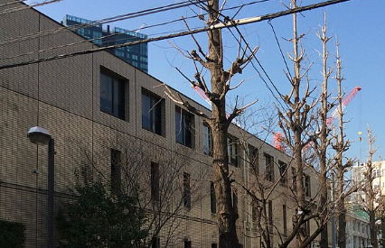 小学校　港区立赤羽小学校（小学校）まで978m