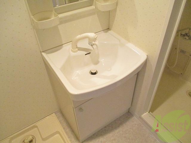 洗面設備　シャンドレ付の洗面台です。朝の身支度も快適ですよ