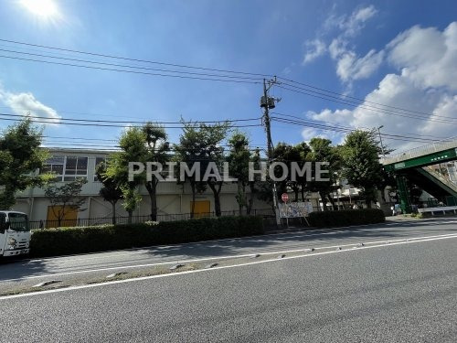 小学校　横浜市立南小学校（小学校）まで1437m