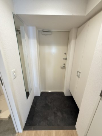 セレニテ谷町四丁目アリエの玄関写真