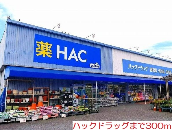 ドラックストア　ハックドラッグ（ドラッグストア）まで300m