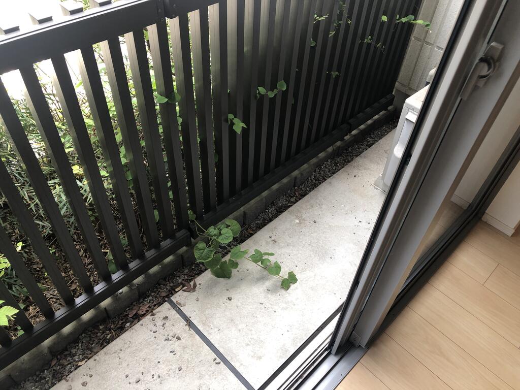 バルコニー　※別号室の参考写真です