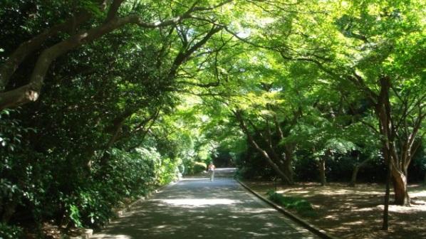 その他　新宿御苑
