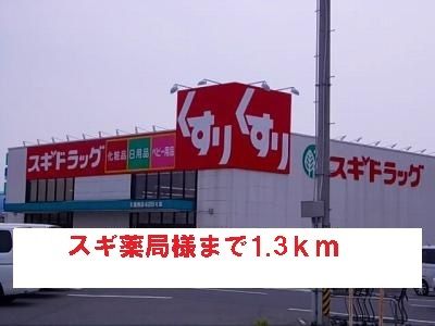 ドラックストア　スギ薬局様（ドラッグストア）まで1300m