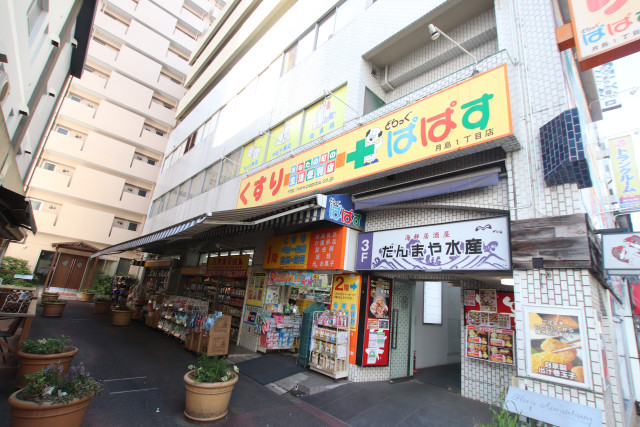 ドラックストア　ぱぱす　月島１丁目店（ドラッグストア）まで350m