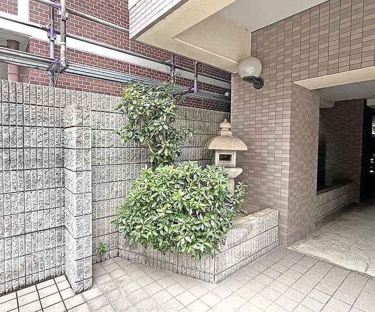庭