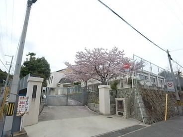 中学校　飛松中学校（中学校）まで282m