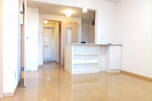 居室・リビング　カウンターキッチン付きのお部屋です。