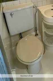 ＪＲ埼京線 赤羽駅 徒歩10分 5階建 築42年のトイレ写真