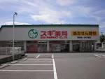 ドラックストア　スギドラッグ 浦里店（ドラッグストア）まで786m