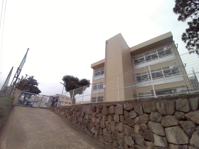 小学校　神戸市立御影北小学校（小学校）まで608m