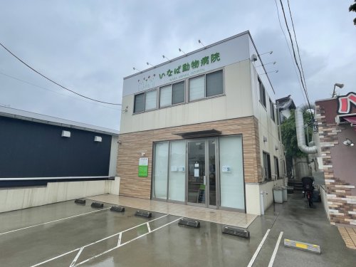病院　いなば動物病院（病院）まで855m