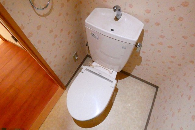 ＪＲ青梅線 昭島駅 徒歩3分 5階建 築21年のトイレ写真