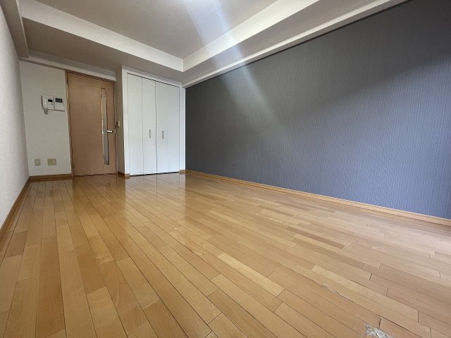 その他部屋・スペース　ゆとりの広さです