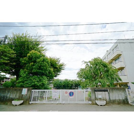 小学校　市立宮上小学校（小学校）まで10m