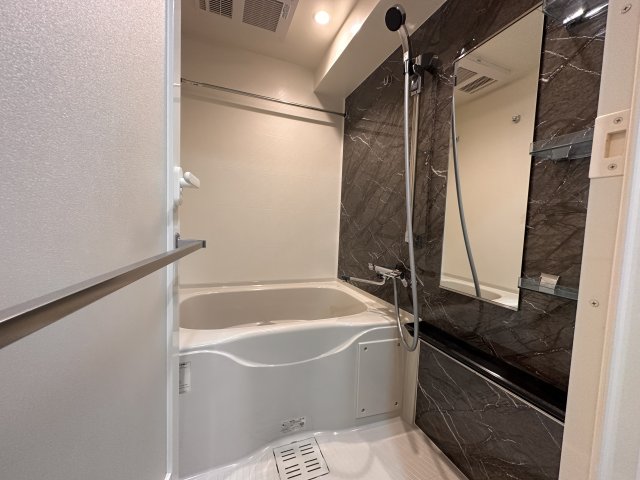 バス・シャワールーム　同一タイプです。