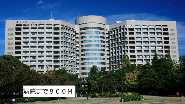 病院　名古屋大学医学部附属病院（病院）まで800m