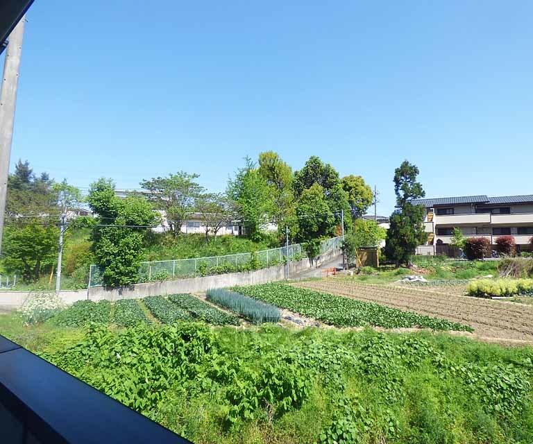 眺望　景色が綺麗です