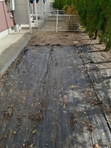 庭　お庭の付いた物件です