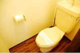 トイレ　同物件他部屋参考写真