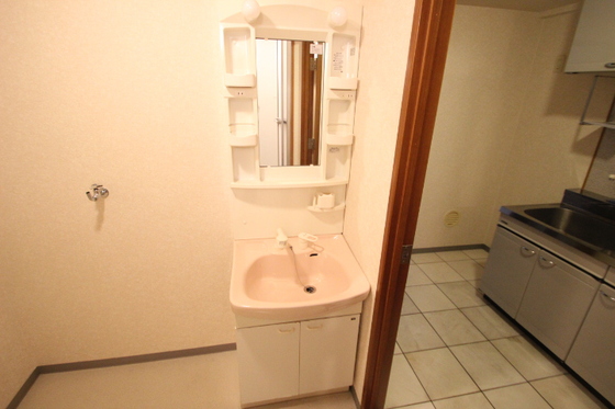 洗面設備　※別部屋の写真です。実際とは異なる場合がございます。