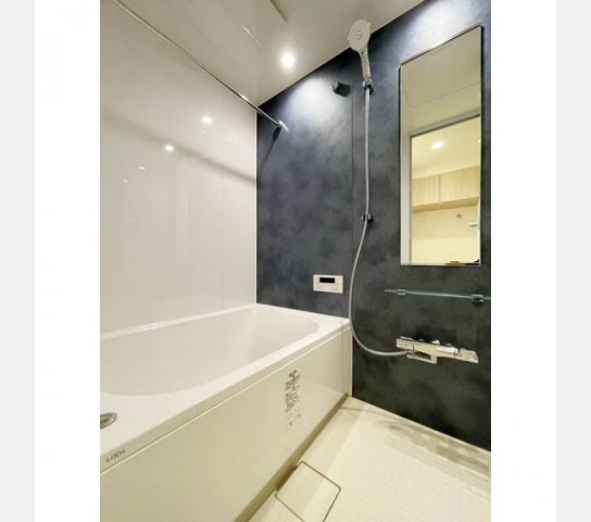 バス・シャワールーム　浴室