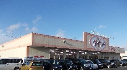 その他　ダイソー田向店（その他）まで730m