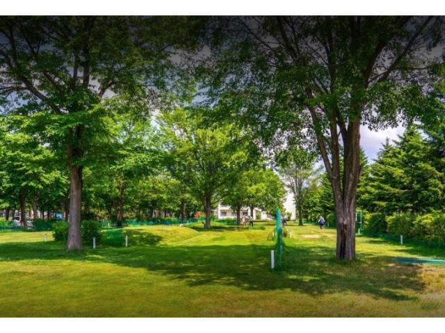 公園　エルム緑道（公園）まで932m