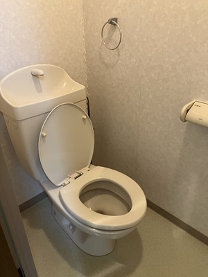 トイレ　別号室の写真使用