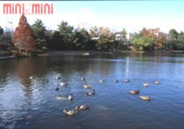 公園　仲ノ池緑地（公園）まで660m