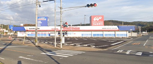 ドラックストア　ウェルネス 大田店（ドラッグストア）まで852m