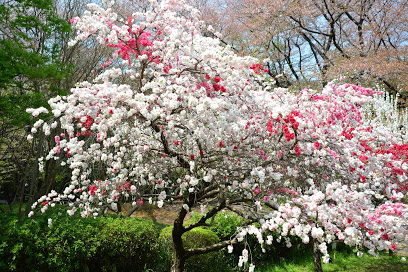 公園　都立砧公園北門（公園）まで981m